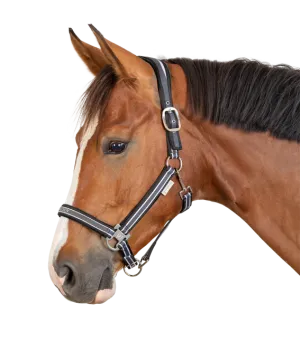 ATHLETIC HALTER by Waldhausen