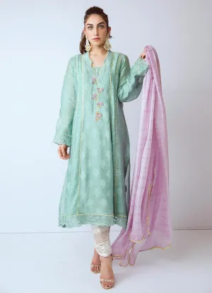 Beautiful Pakistani organza dress in green color # P2270