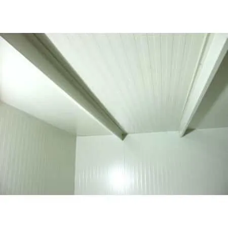 Duramax 22' x 10' Flat Roof Insulated Building 30872