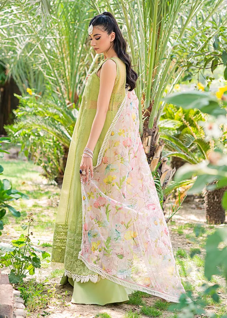 Embellished White Green Salwar Kameez Pakistani Suit