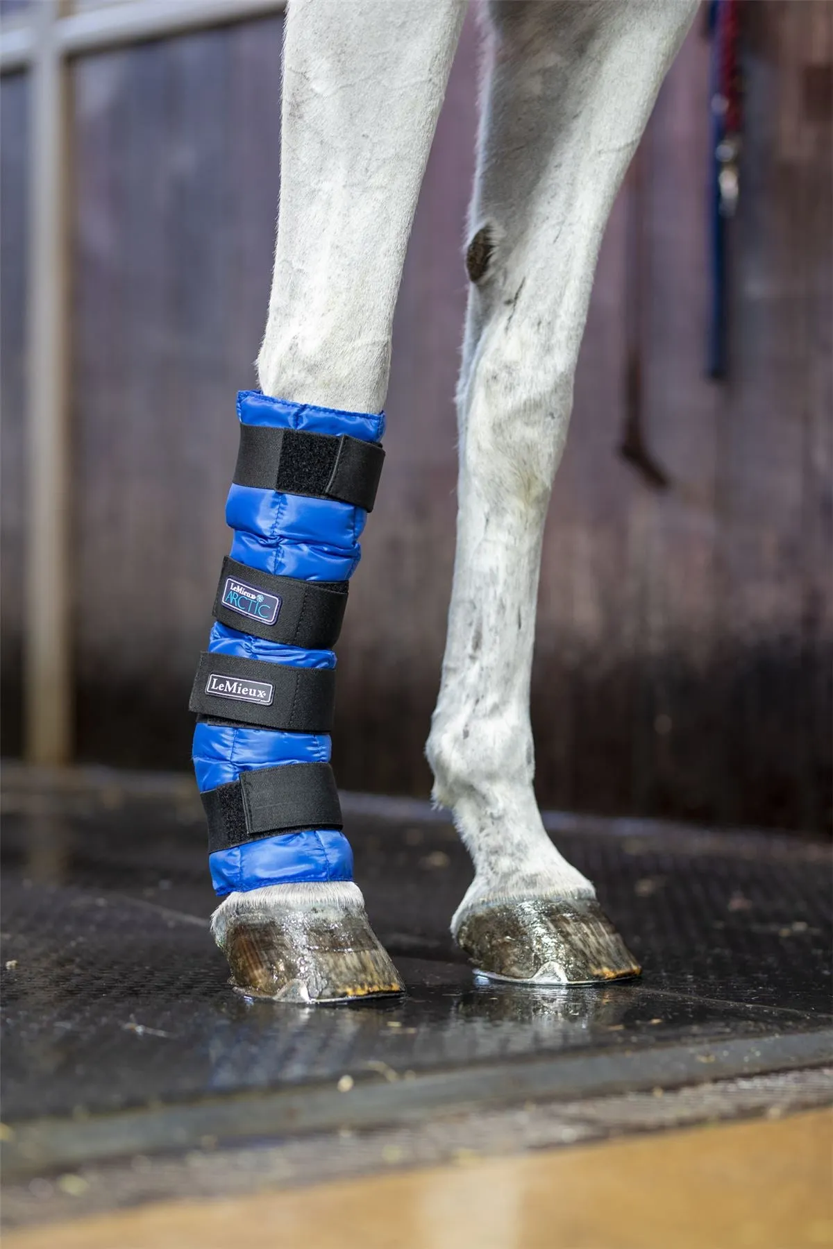 LeMieux Arctic Ice Boot (Pair)