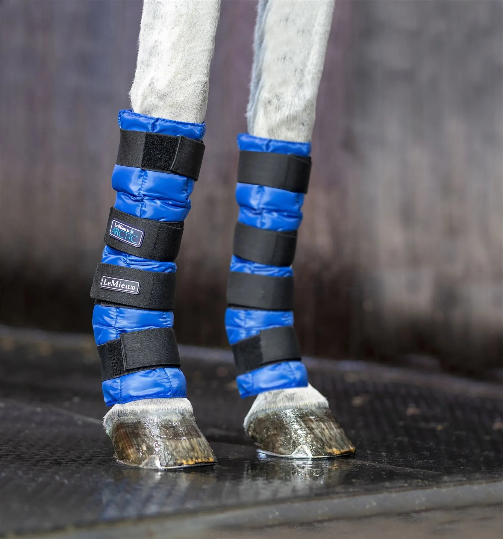 LeMieux Arctic Ice Boot (Pair)