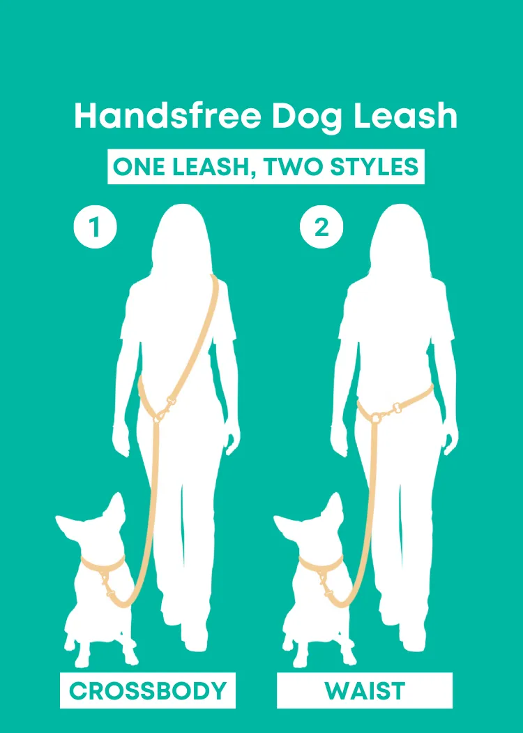 Neptune - Splashproof Handsfree Dog Leash