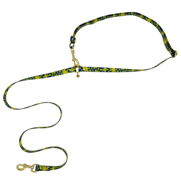 Neptune - Splashproof Handsfree Dog Leash
