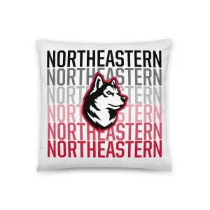 Northeastern Pillow