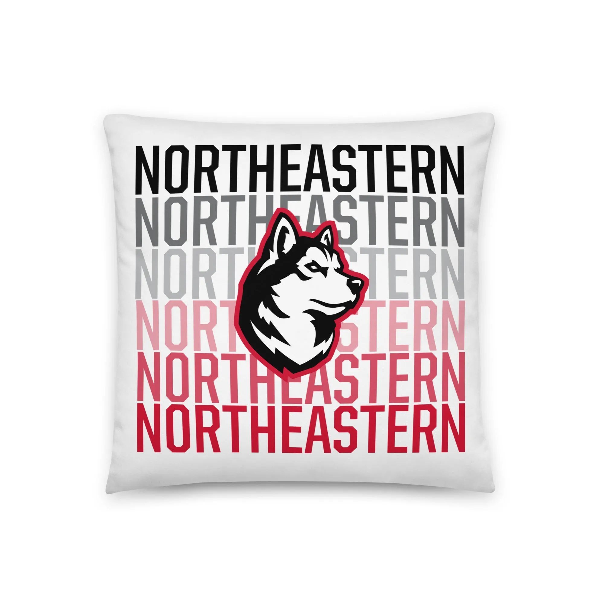 Northeastern Pillow
