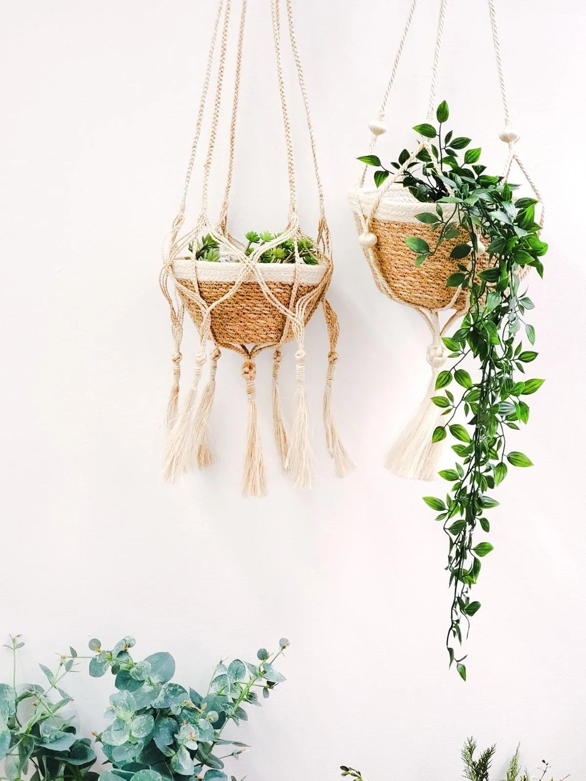 Plant Hanger - Nadu (Set Of 2)