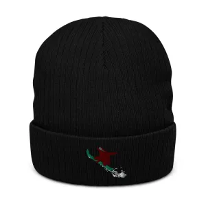 Snowboarding CA grizzly recycled cuffed beanie