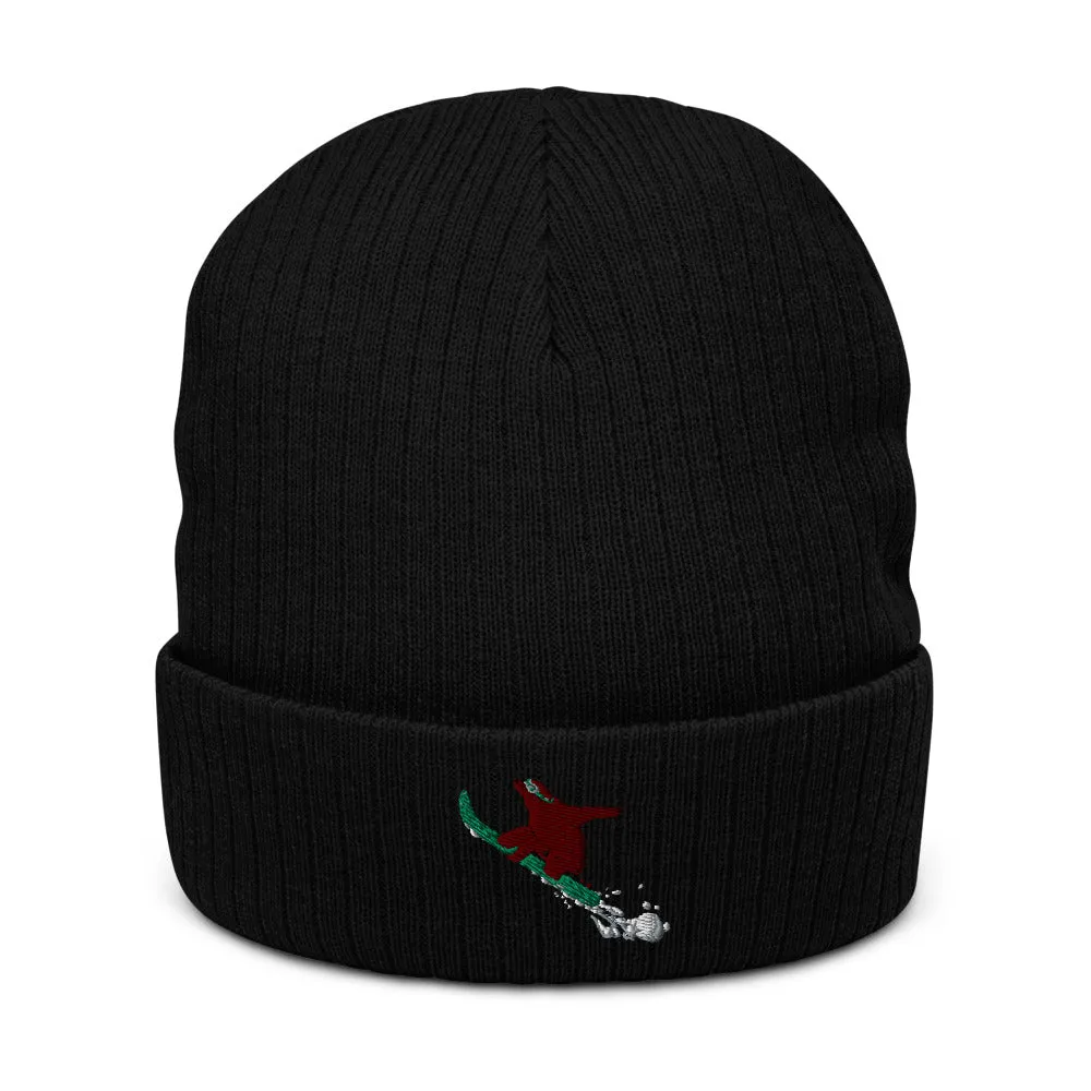 Snowboarding CA grizzly recycled cuffed beanie