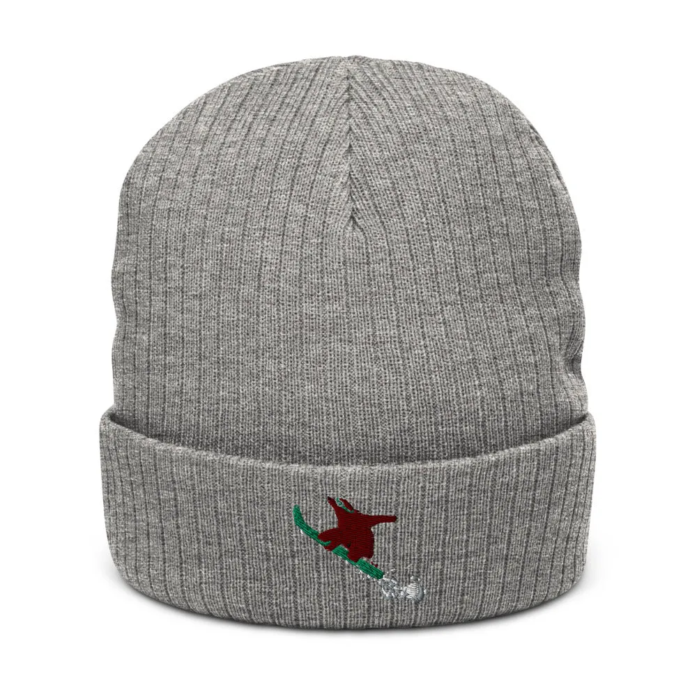 Snowboarding CA grizzly recycled cuffed beanie