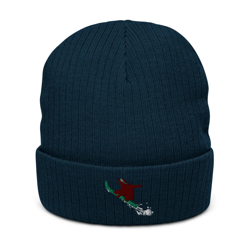 Snowboarding CA grizzly recycled cuffed beanie