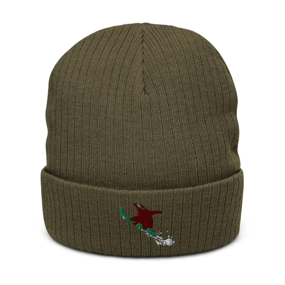 Snowboarding CA grizzly recycled cuffed beanie