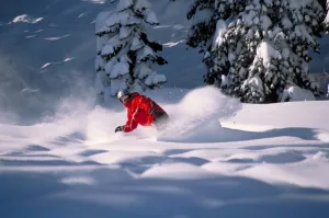 Snowboarding in Powder
